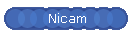 Nicam